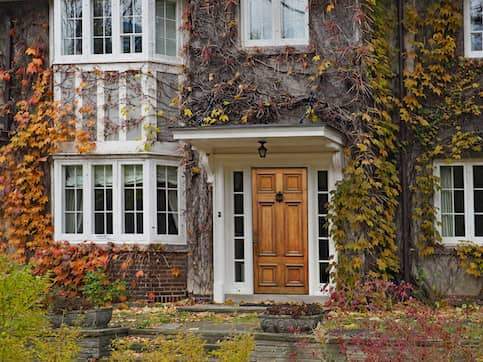 Closeup view of a the front door and side windows of a house covered in ivy.