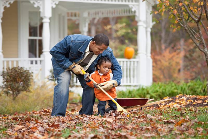 Father and daughter raking leaves in yard